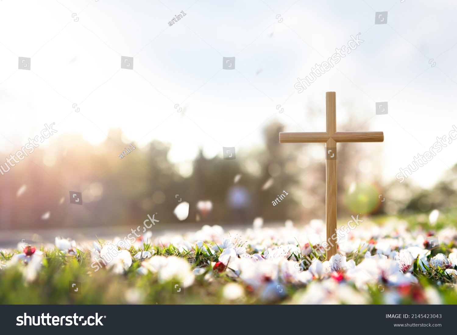 Cross symbolizing the death and resurrection of Jesus Christ, spring flowers, falling petals and bright sunlight
 #2145423043