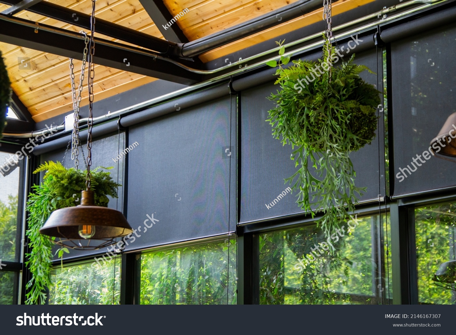 Black roller blind or curtains on the glass wall, Interior design with hanging green ferns. #2146167307