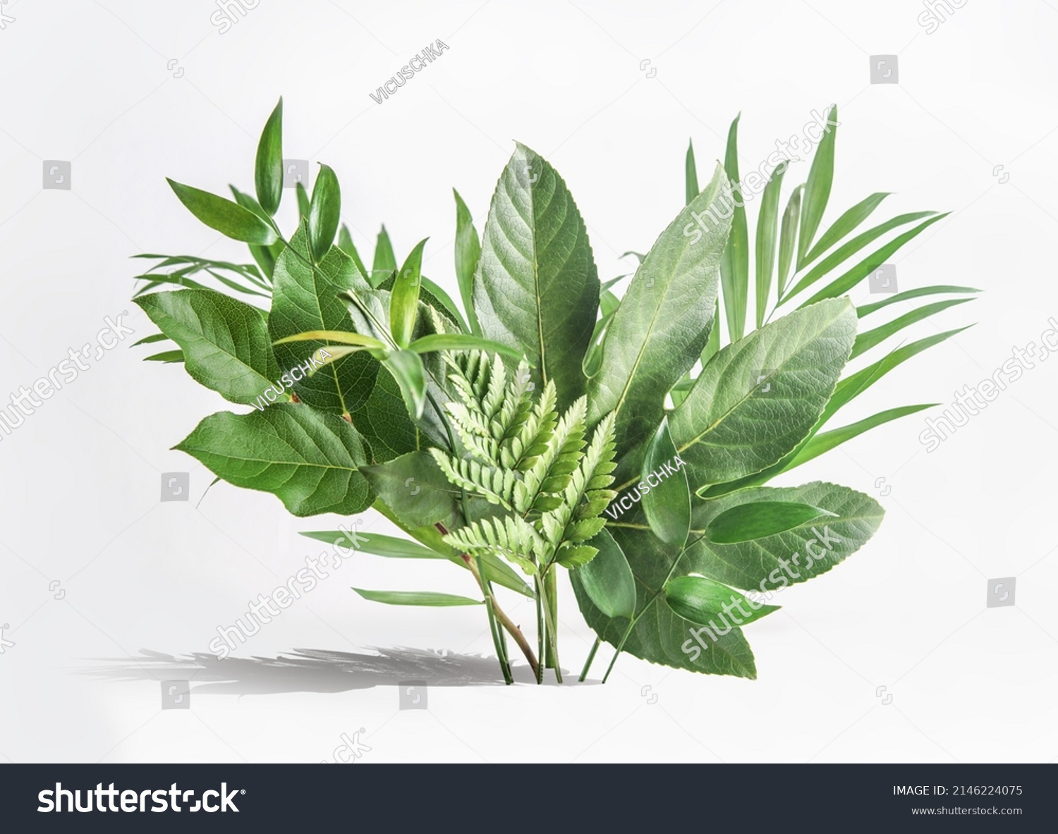 Various green tropical leaves  bunch on white table at wall background. Floral setting with palm branches. Front view. #2146224075