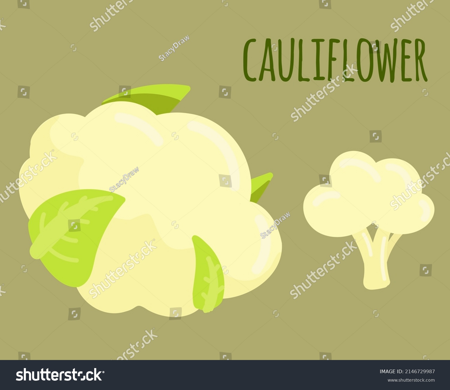 Vector illustration of a cauliflower. Whole vegetable and cut. Suitable for any designs and decorations related to organic food, vegetarian, vegan and garden. #2146729987