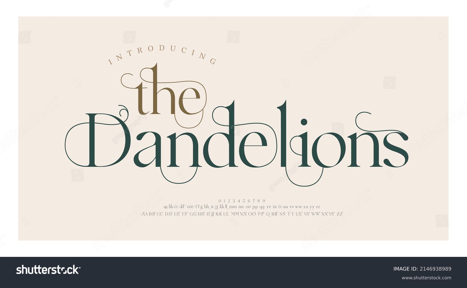 Luxury wedding alphabet letters font with tails. Typography elegant classic lettering serif fonts and number decorative vintage retro concept for logo branding. vector illustration #2146938989