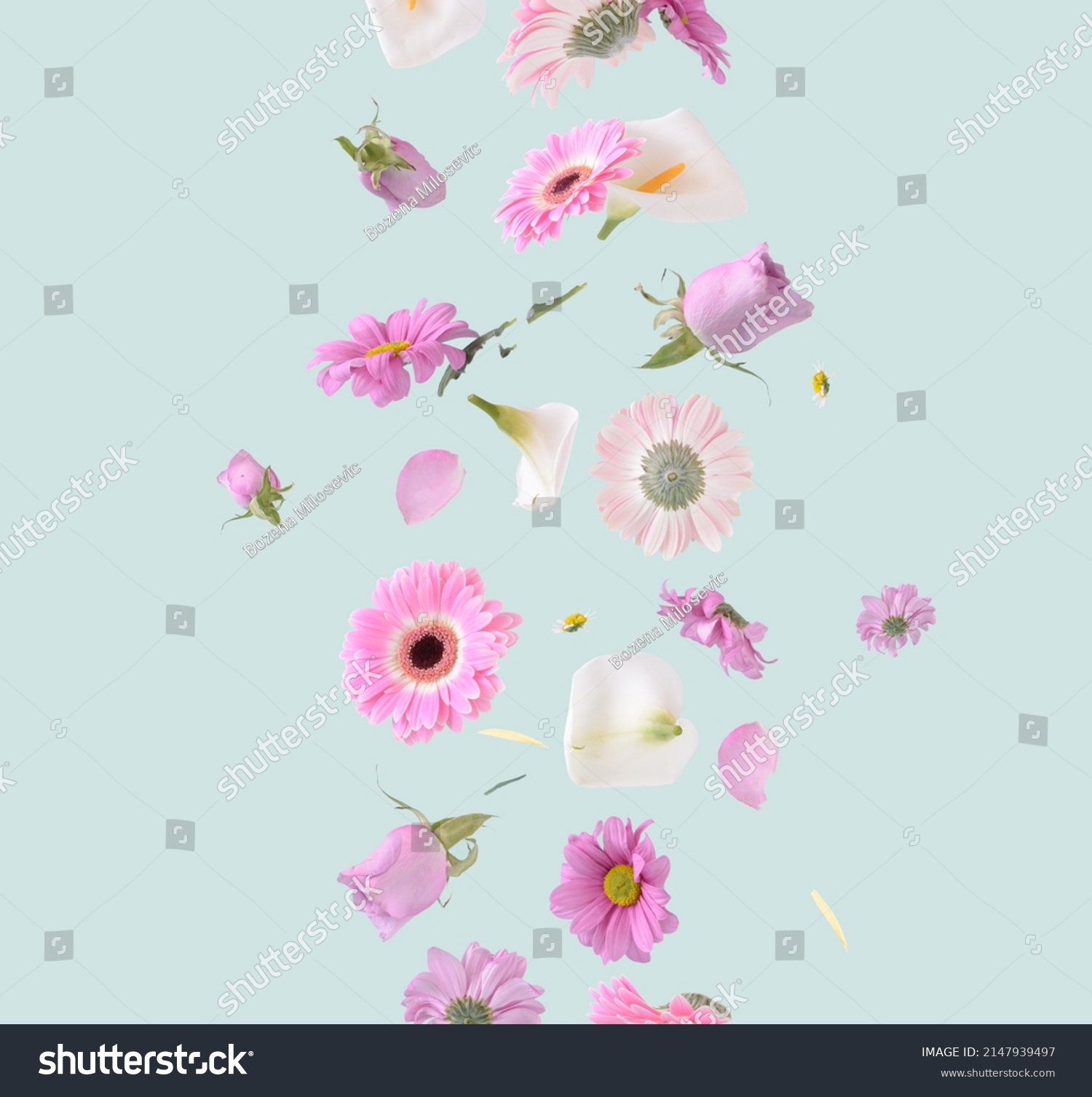 Flowers levitating on a pastel green background. Colorful pink, white and purple trendy summer flowers flying. Surreal aesthetic nature concept. #2147939497