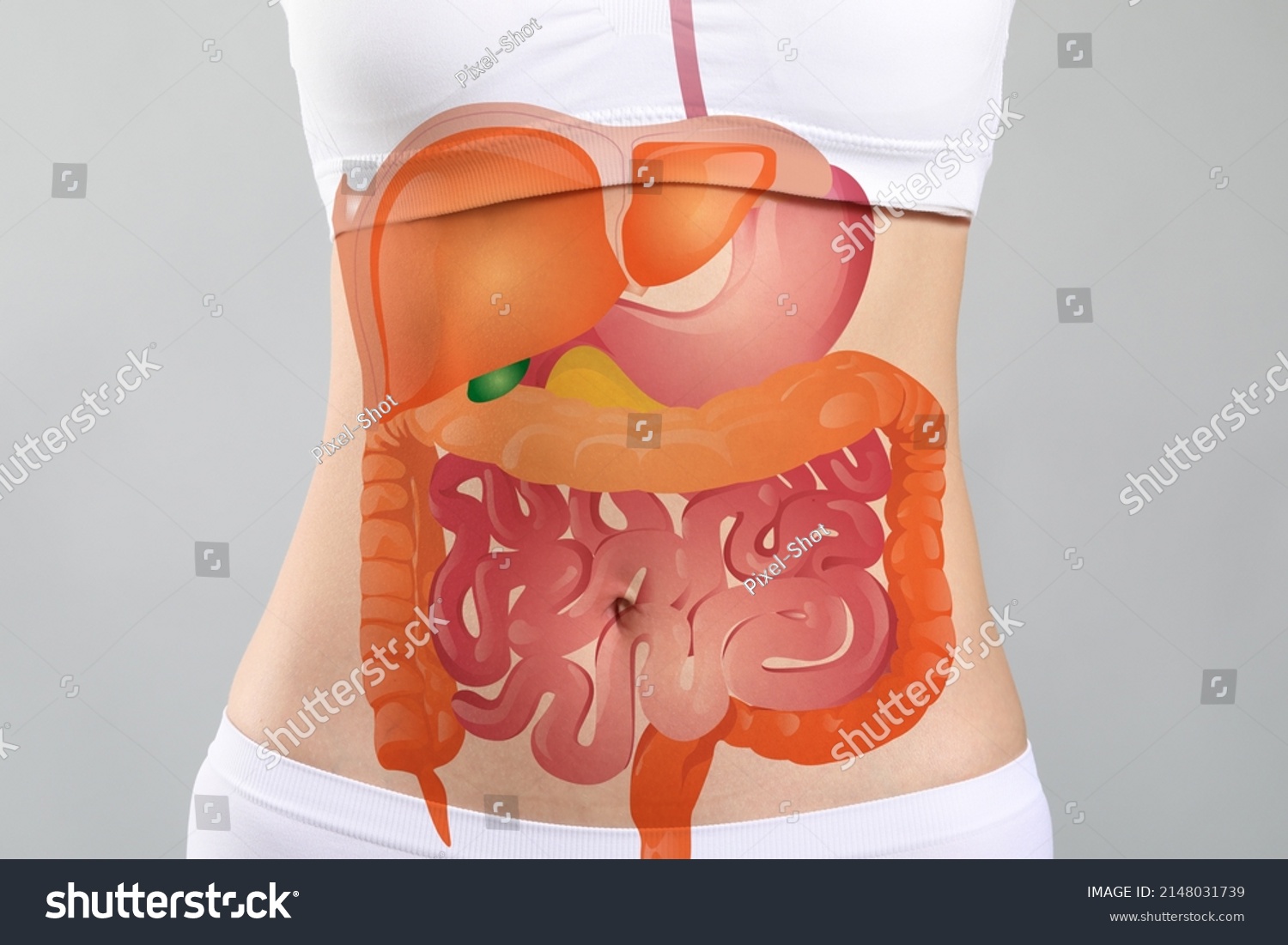 Woman with drawn digestive system on light background, closeup #2148031739