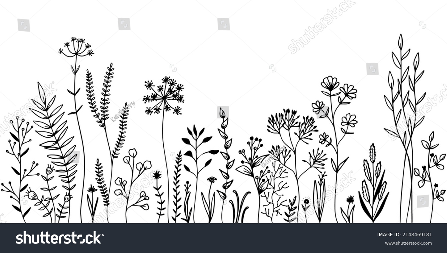 Set of wild meadow herbs and flowers. Hand drawn black vector illustration. Isolated elements for design. #2148469181