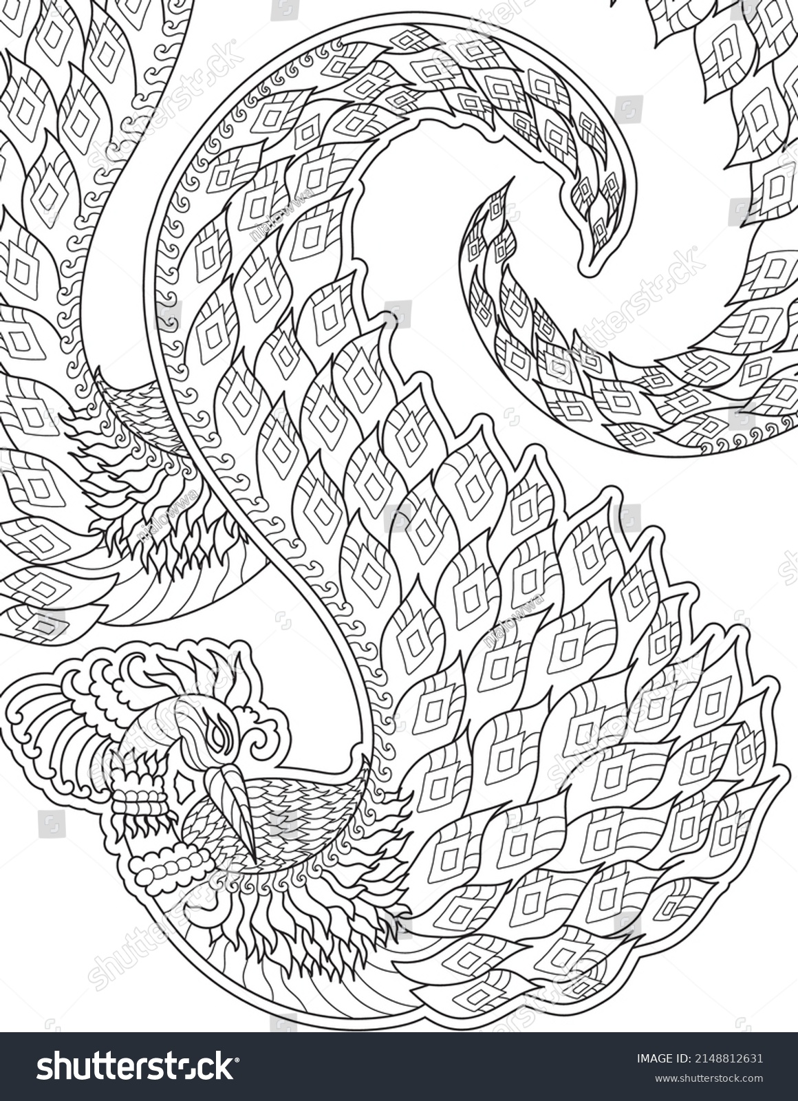 Vector line drawing peacock detailed pattern - Royalty Free Stock ...