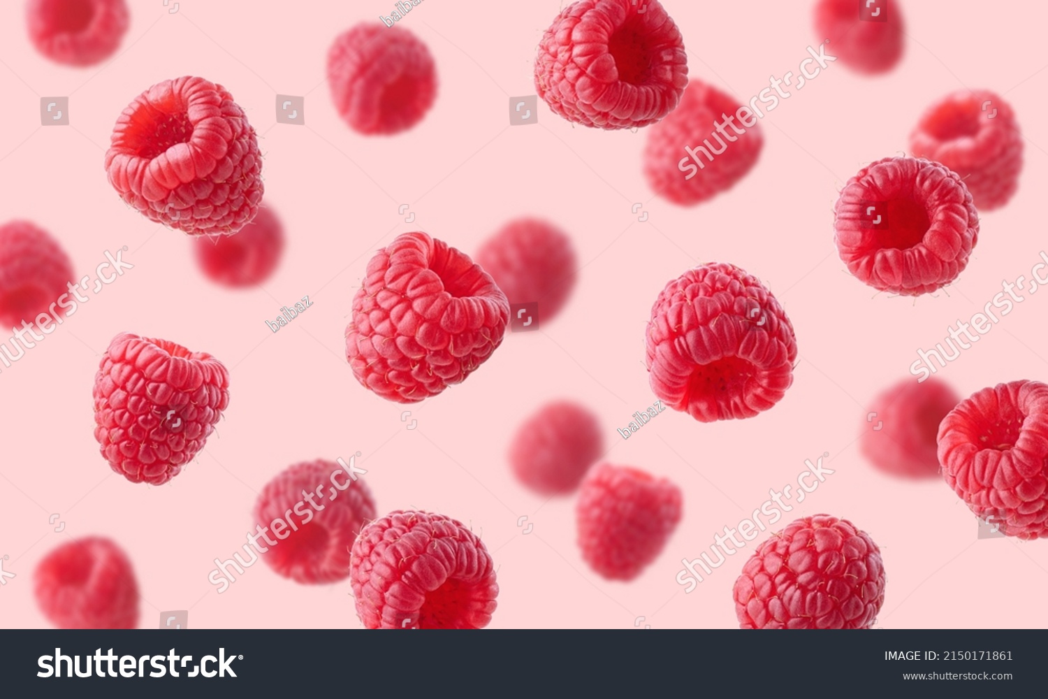 Various falling fresh ripe raspberries on light pink background, horizontal composition #2150171861