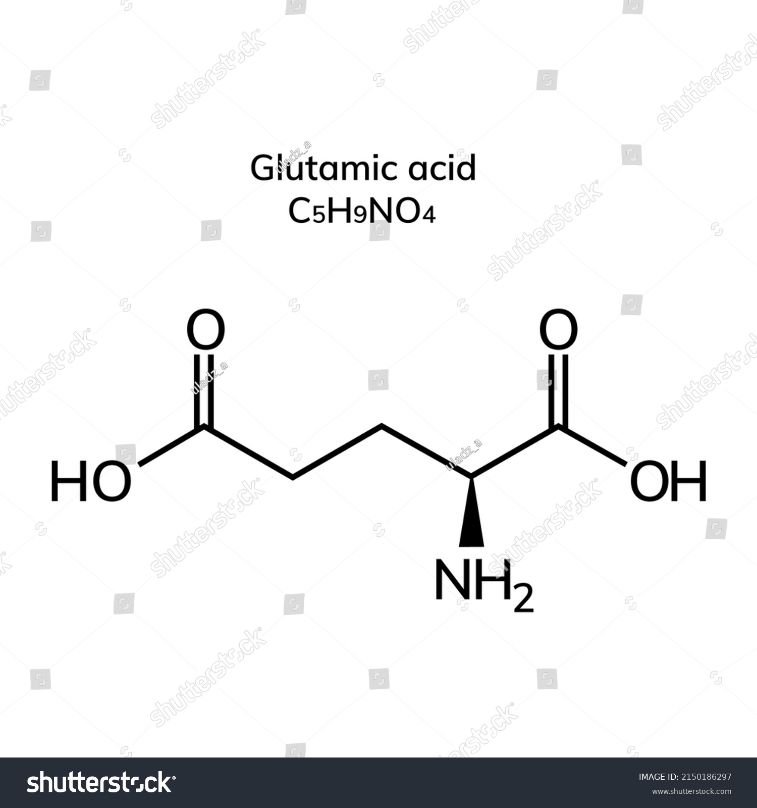 Non-essential amino acid glutamic acid on a - Royalty Free Stock Vector ...