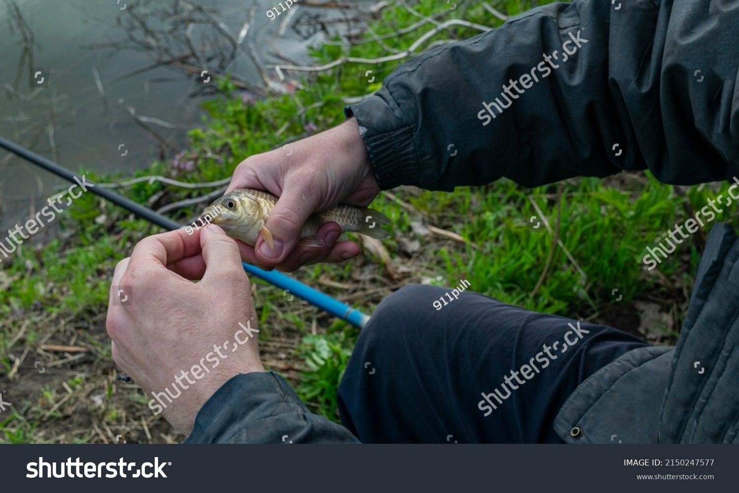 Fish, crucian carp, in the fisherman's hand.Fish caught in the river. #2150247577