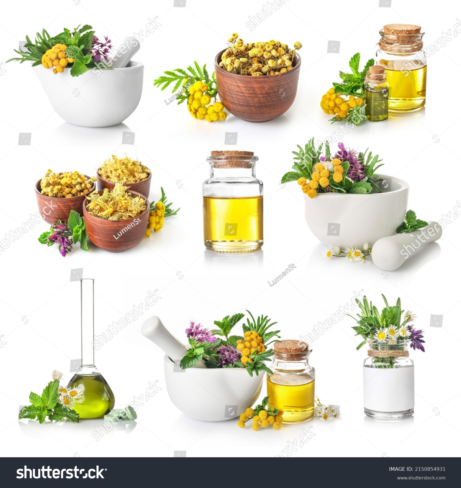 Set of nedicinal herbs in mortar and bottles isolated on white background. Herbal medicine concept. #2150854931