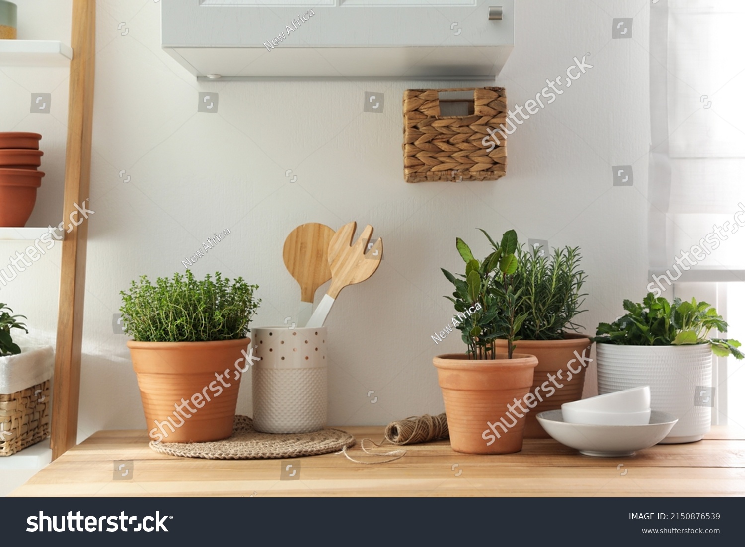 Different aromatic potted herbs on wooden table indoors #2150876539