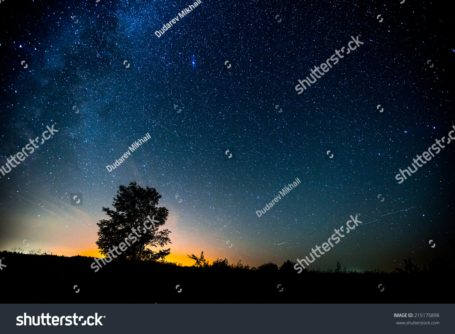 Starry sky and summer meadow with tree. High level of noise #215175898