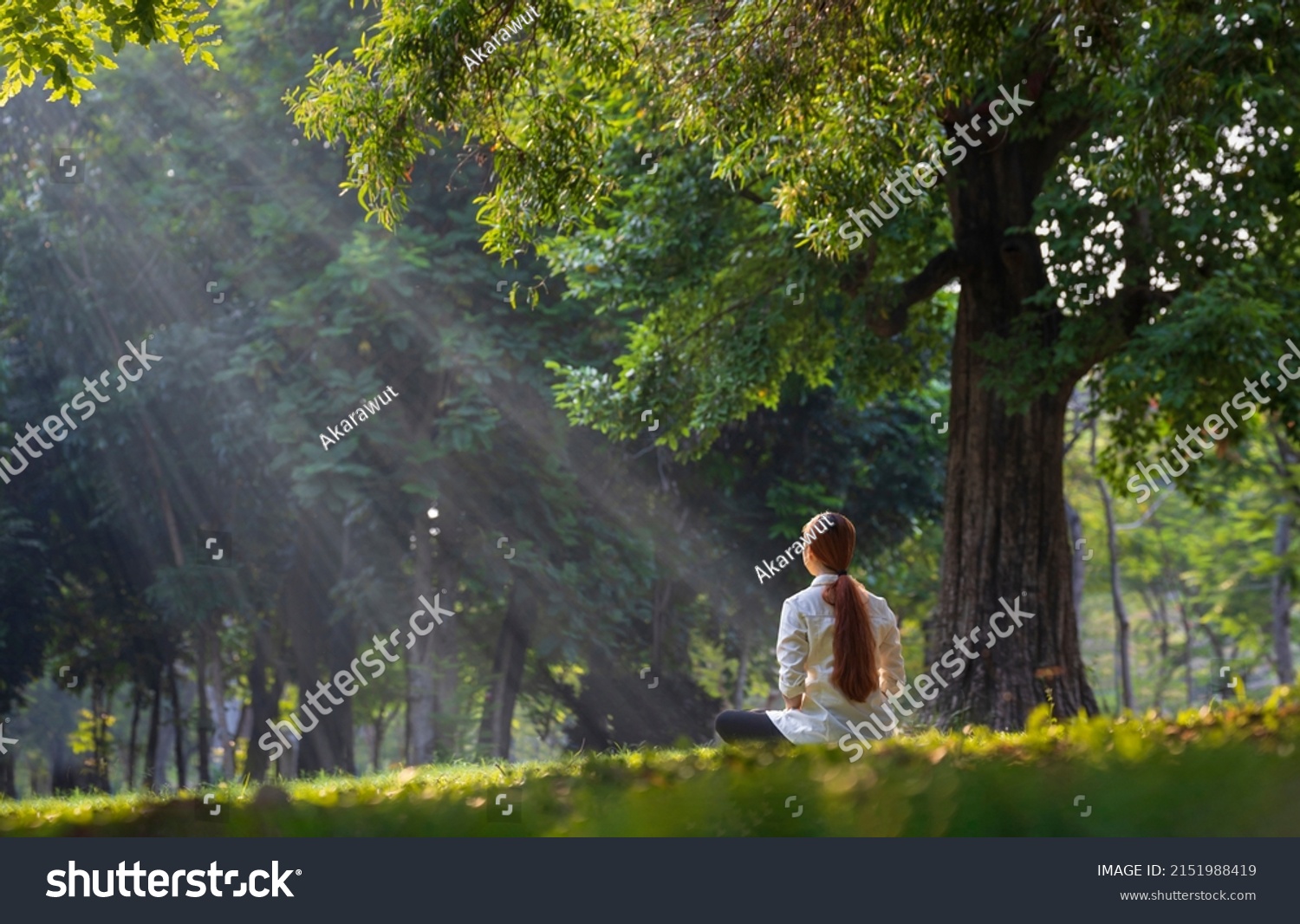 Back of woman relaxingly practicing meditation yoga in the forest to attain happiness from inner peace wisdom serenity with beam of sun light for healthy mind wellbeing and wellness soul concept #2151988419