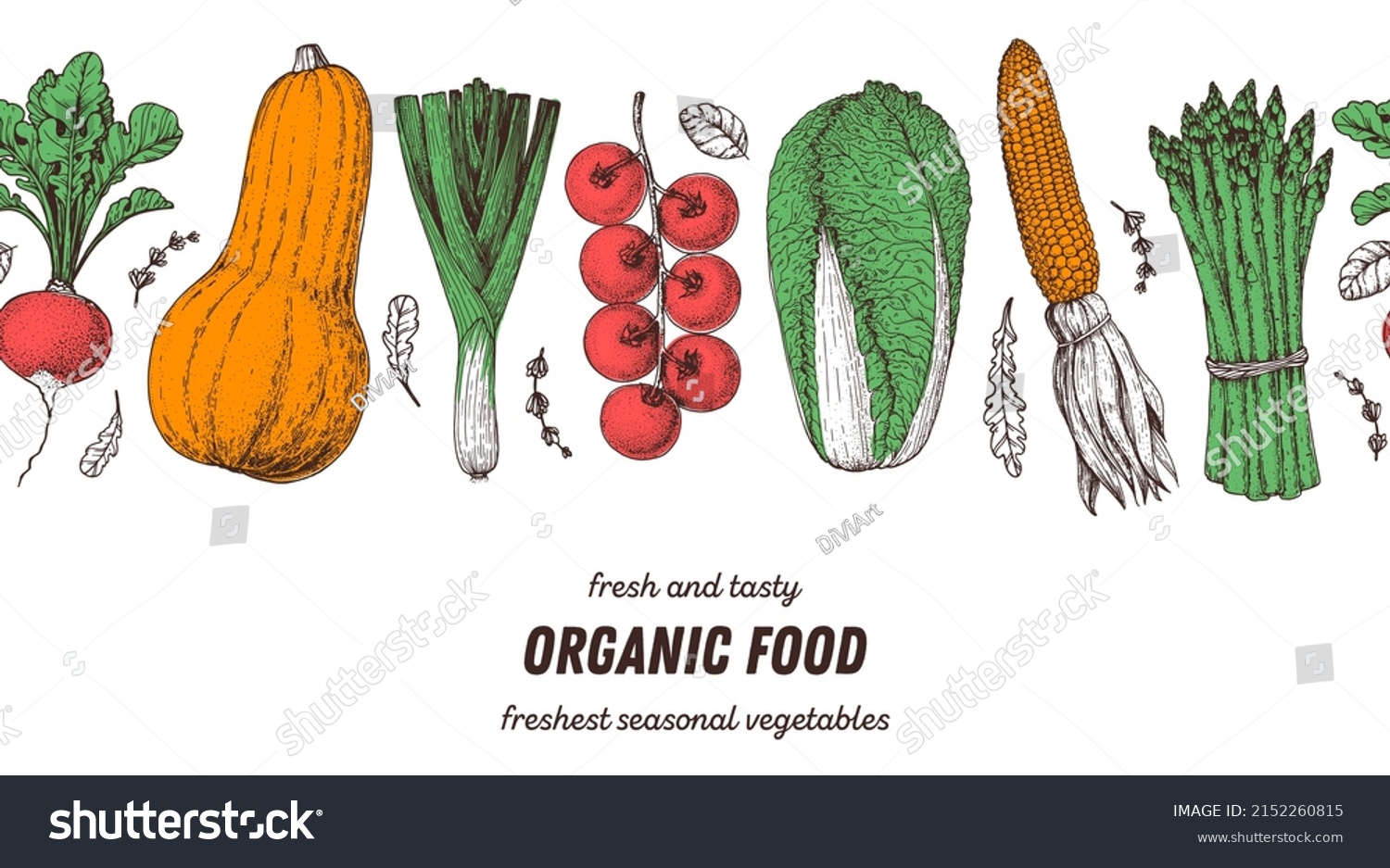 Vegetables hand drawn illustration. Top view frame. Vintage hand drawn sketch. Organic food poster. Good nutrition, healthy food. Vector illustration. Asparagus, cabbage, corn, tomato, leek, radish. #2152260815