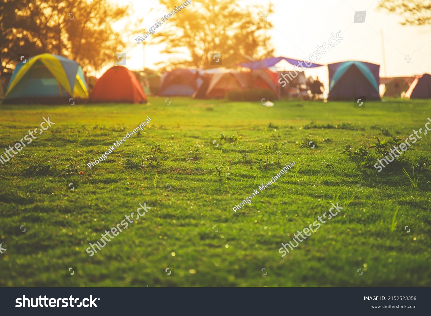 Selective focused on Lawn or green grass ground of camping ground near the sea beach. with camping tent in the background. #2152523359