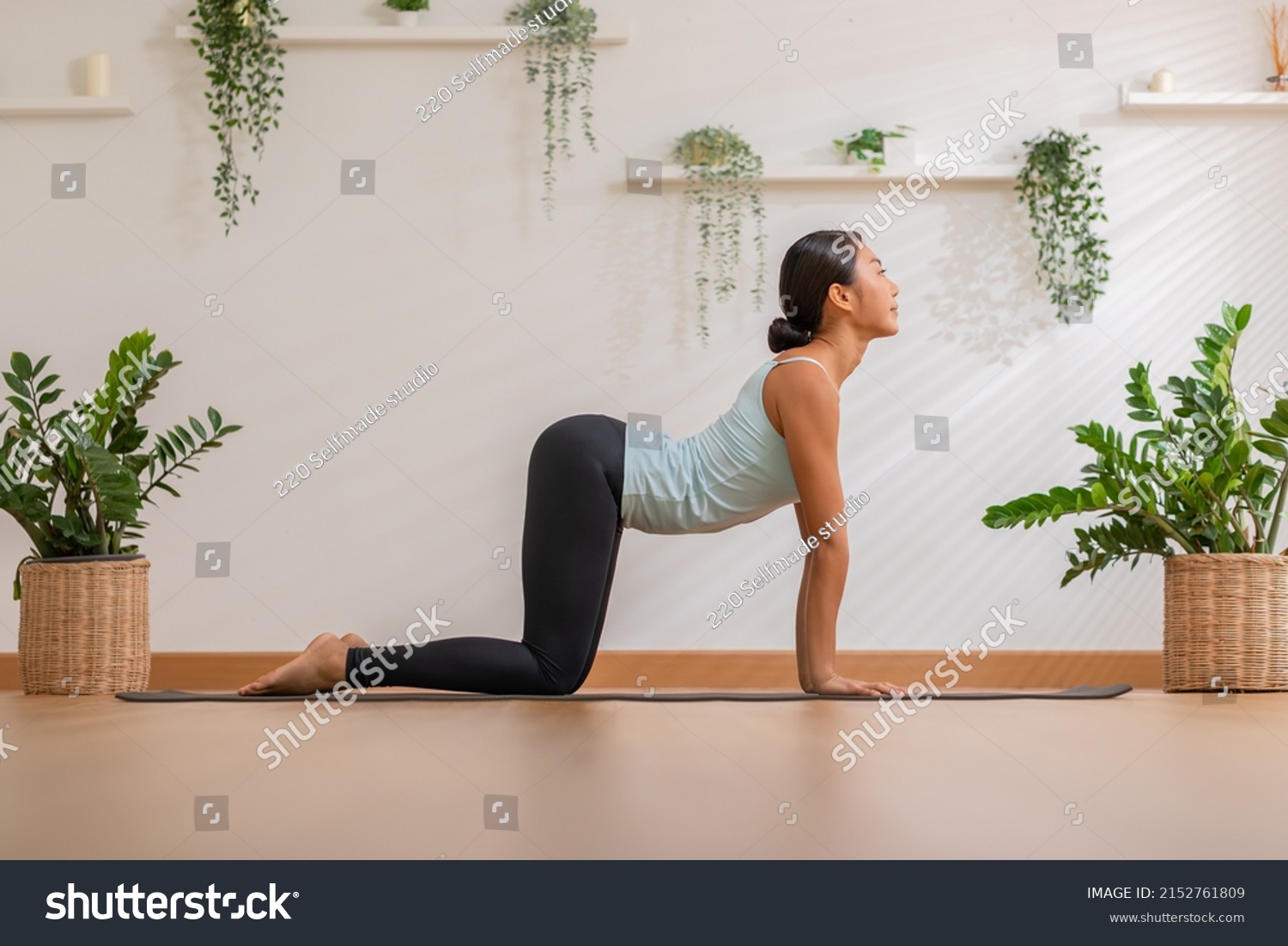 Calm of Athletic Asian woman in sportwear practice yoga Cat Cow pose to breathing and meditation at home,Healthy woman doing yoga so comfortable and relax,Wellness Yoga Healthcare Concept #2152761809