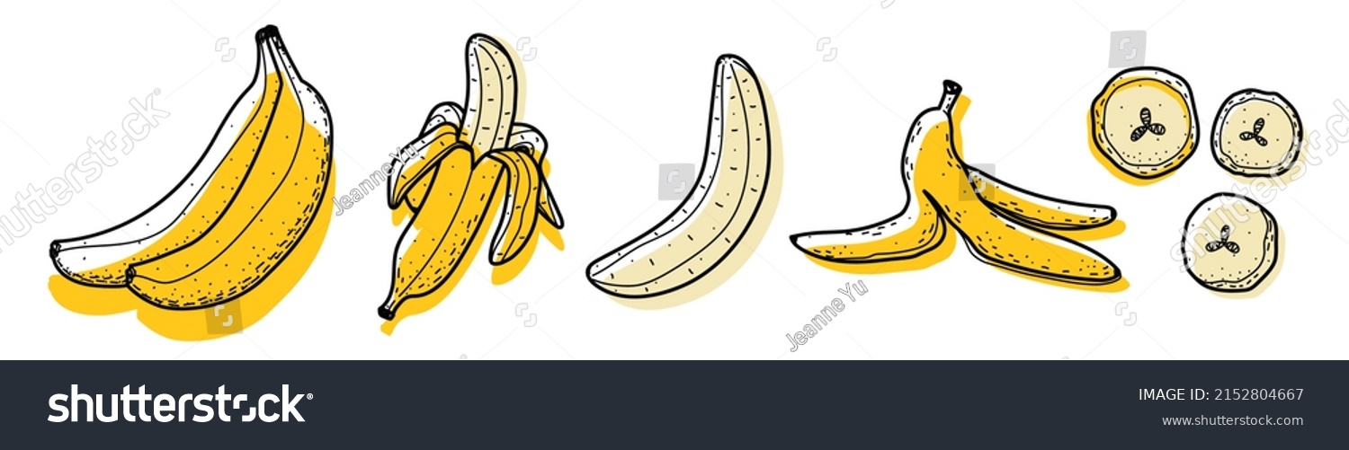 Banana set. Abstract modern set of banana icons, whole and sliced isolated on a white background. For internet, printing, product design, logo. Line, contour. Vector hand-drawn flat illustration. #2152804667