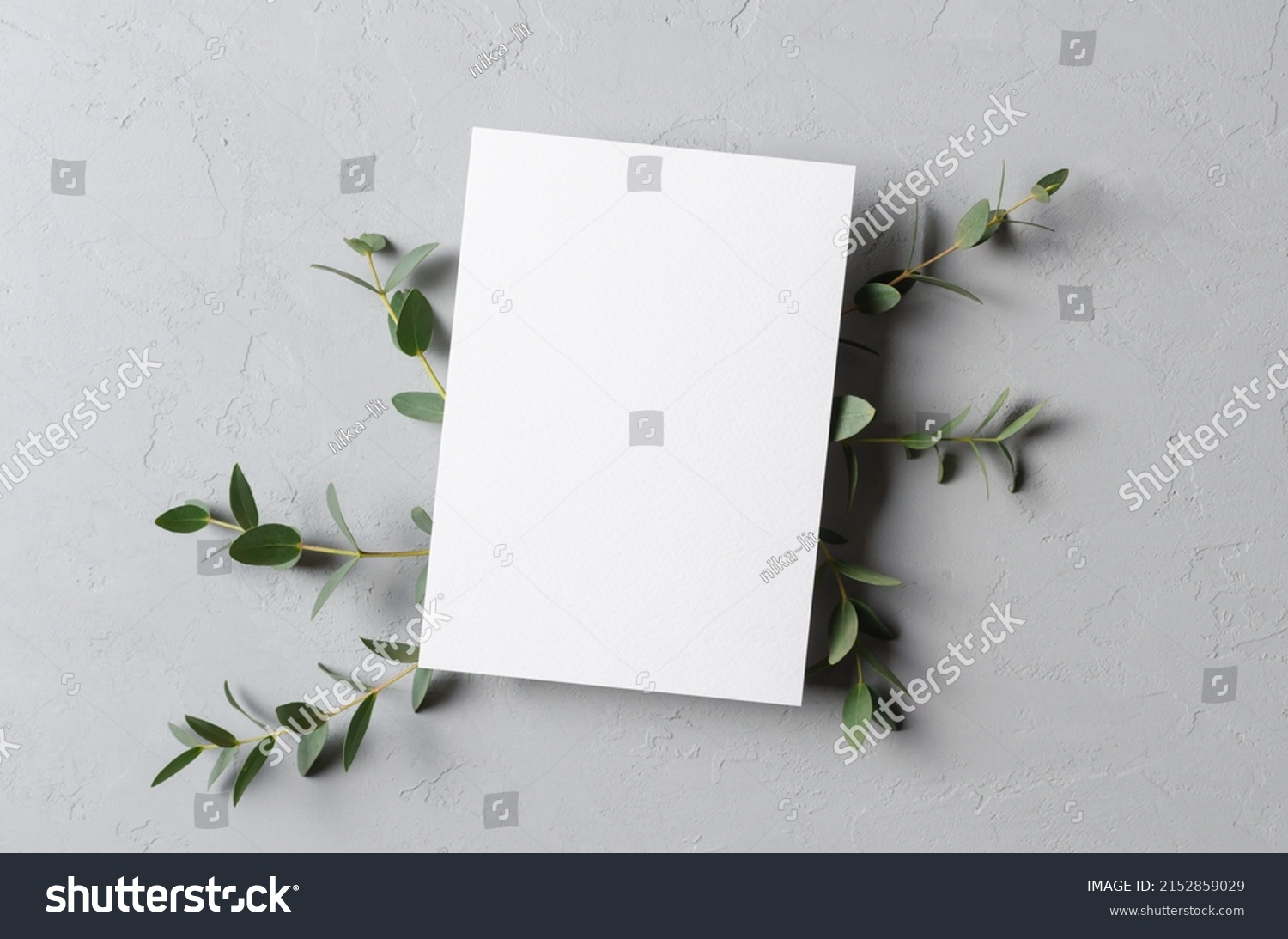 Invitation, flyer or greeting card mockup with fresh eucalyptus twigs #2152859029