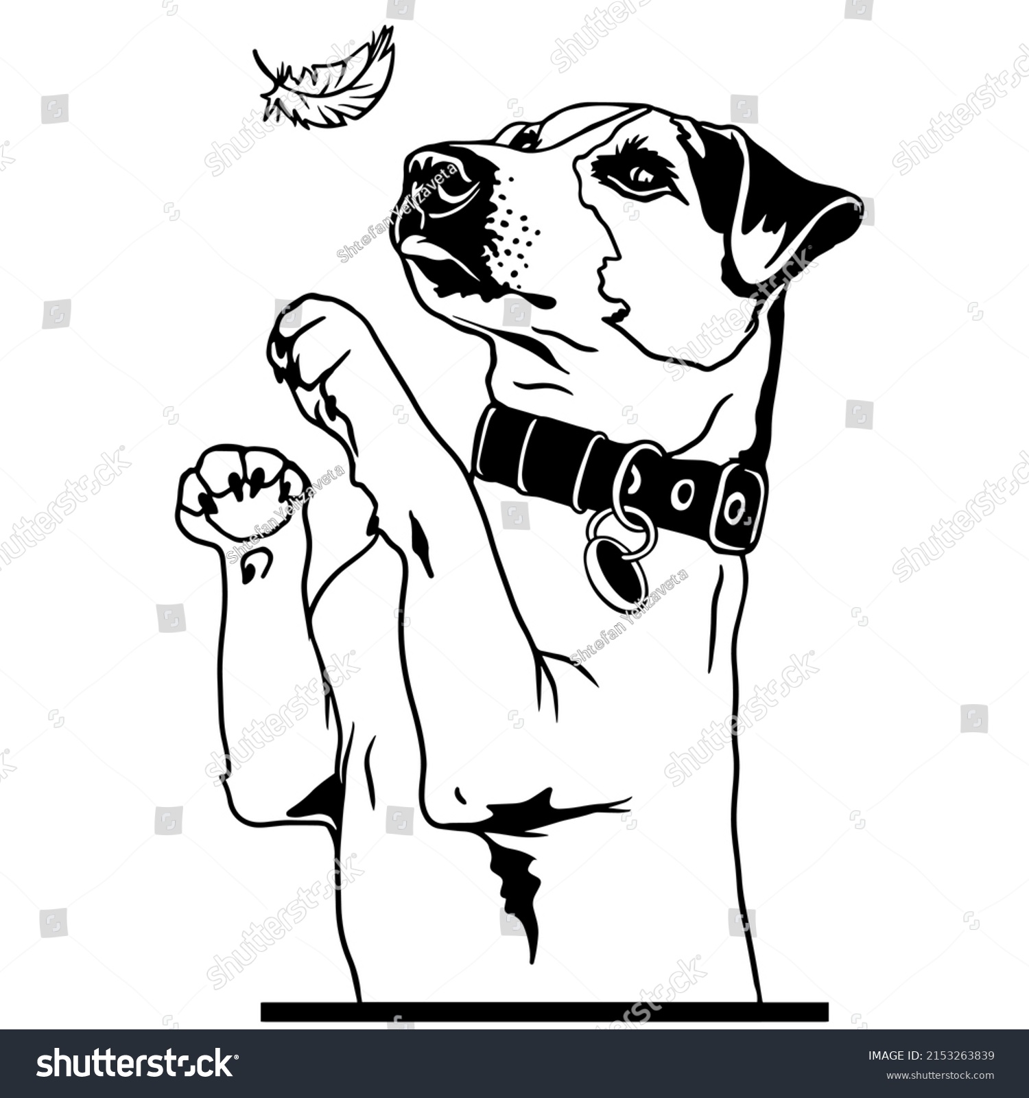 Jack Russell Terrier is a playful dog. Vector - Royalty Free Stock ...