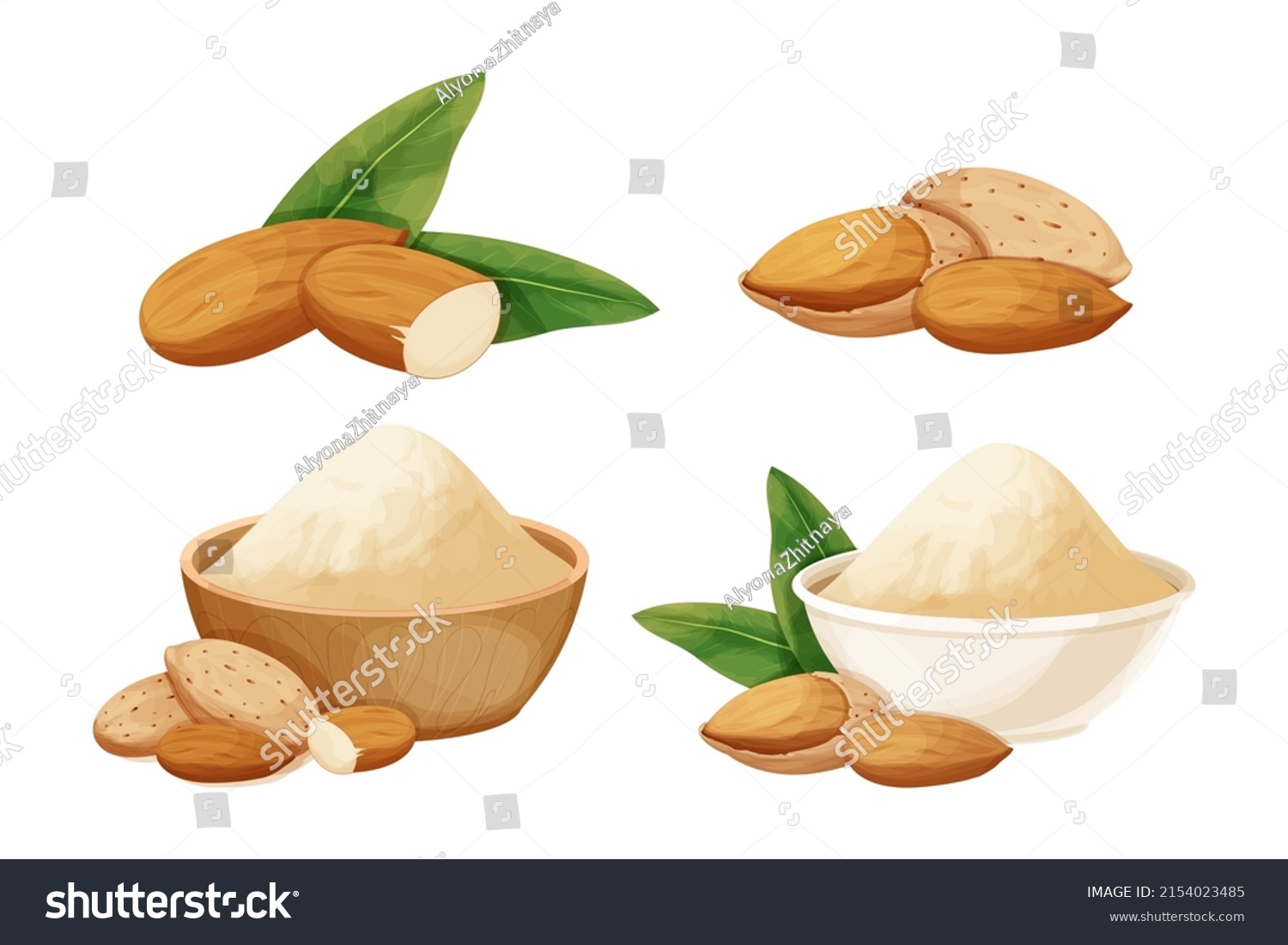 Set almond in nutshell with leaves detailed raw nut, almond powder in bowl organic product, ingredient in cartoon style isolated on white background. Ripe plant, snack. #2154023485