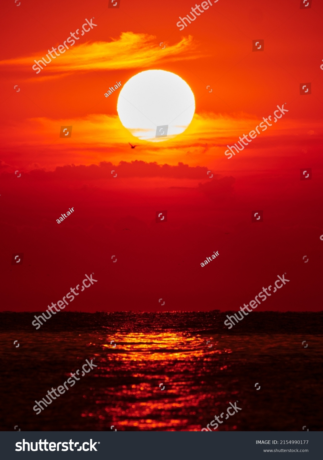 evening sunset sky with sun and clouds in red tones, silhouettes of birds flying over the water #2154990177