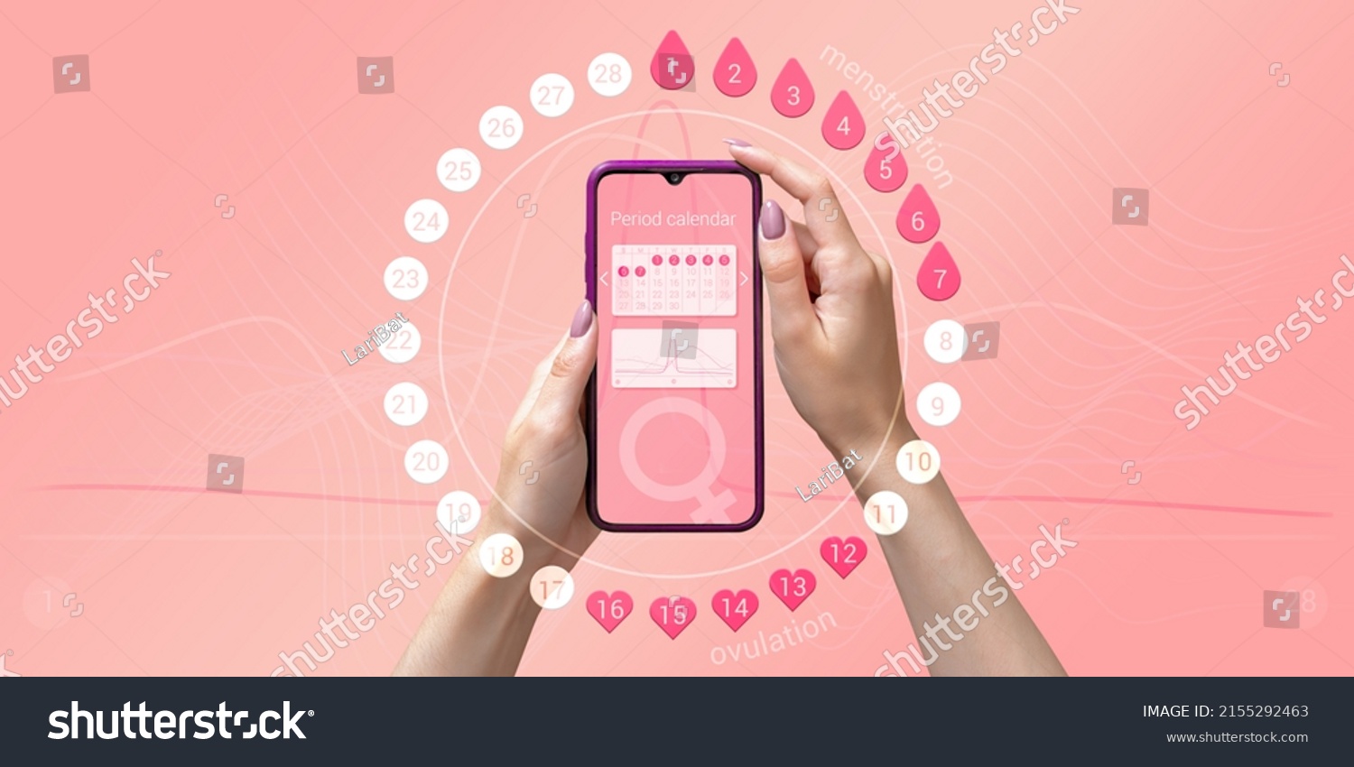 Menstrual cycle tracker mobile app on smartphone screen in hands of woman, graphic representation of period calendar on pink background. Modern technologies for women's health, pregnancy planning #2155292463