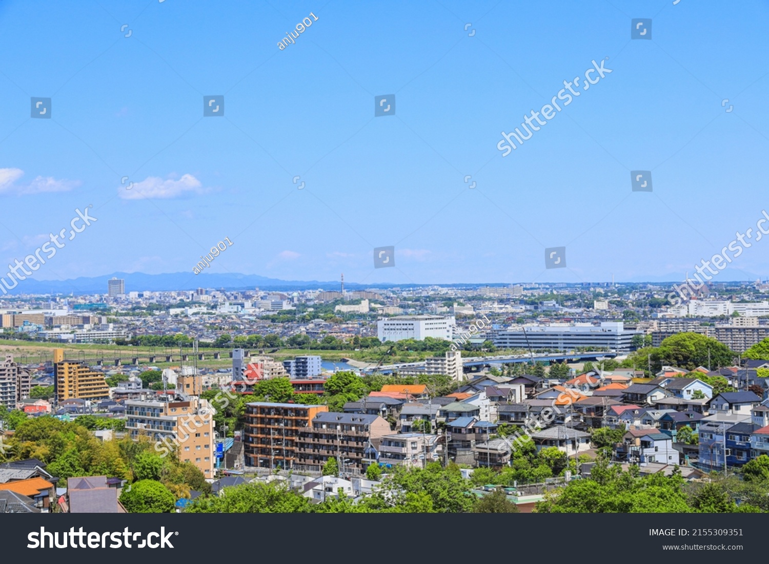 Tokyo, Japan:   Aerial view of the residential area in the suburb of Tokyo #2155309351