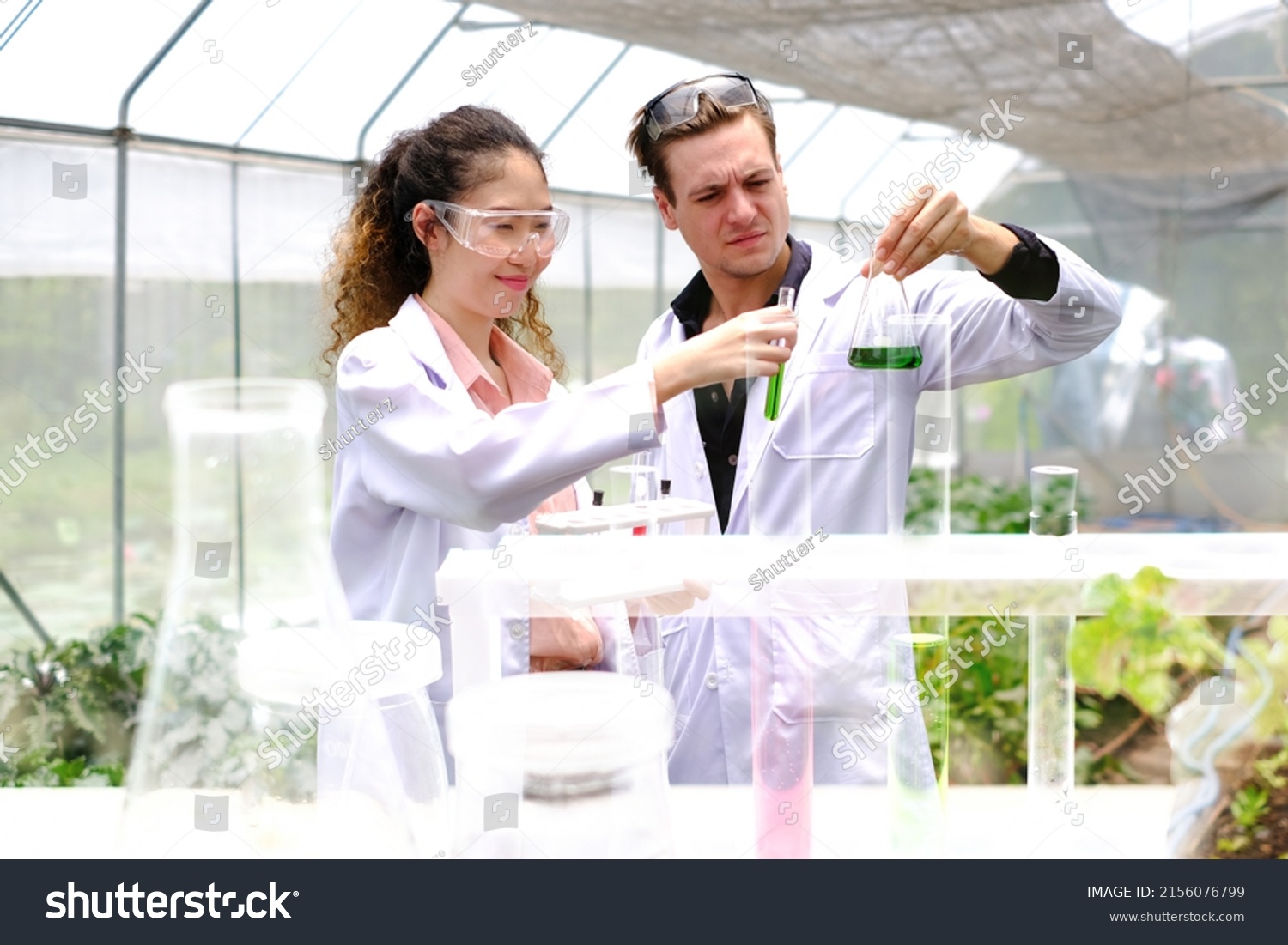 biological scientist American male researcher, Research Plant Varieties. Organic farming concept. working at bright greenhouse. Biologist or botanist recording information about plants.. #2156076799