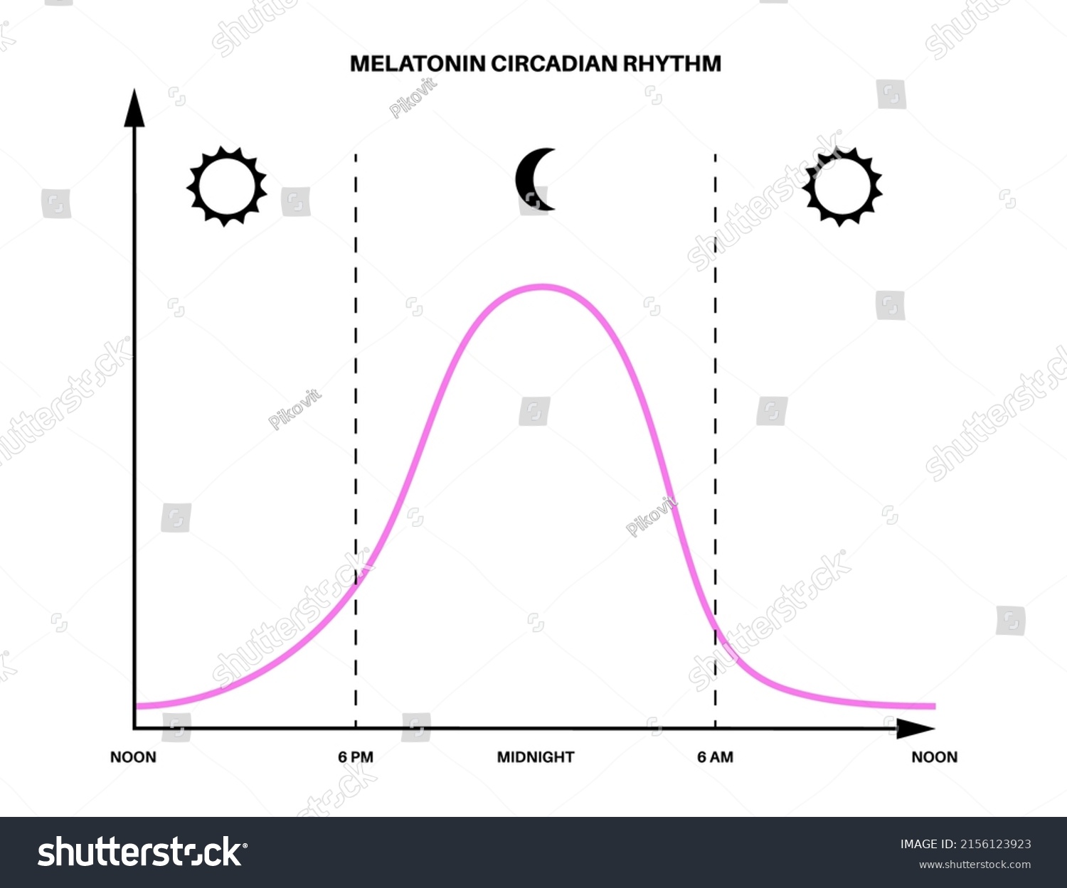 Circadian Rhythm Infographic Poster Melatonin Royalty Free Stock Vector 2156123923 2262