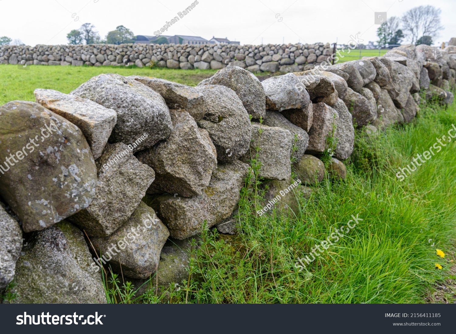 Traditional dry stone walls, common around the Mourne Mountains, Northern Ireland. #2156411185