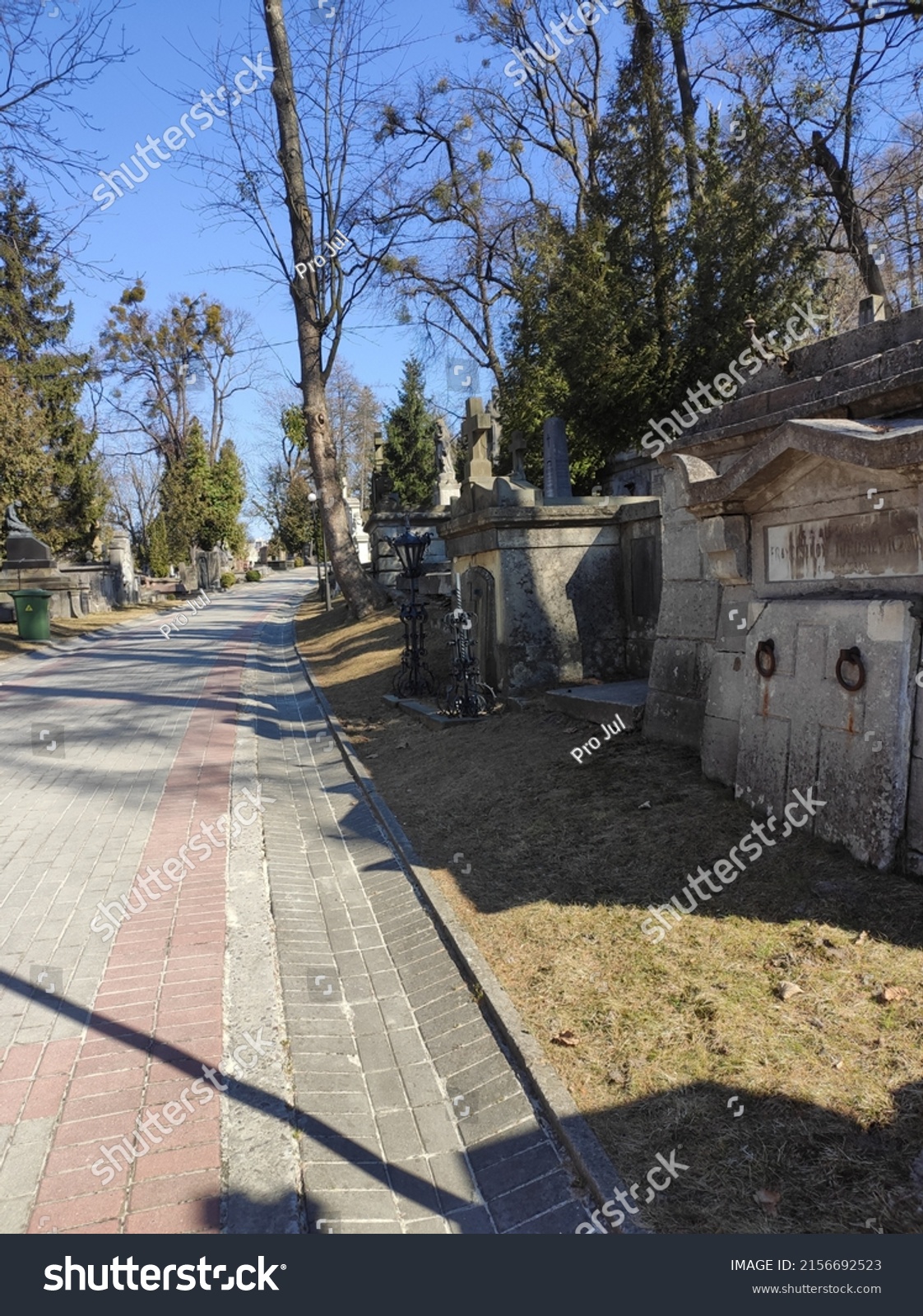 Lychakiv cemetery. Tombstones and graves in the cemetery. City cemetery. Ancient burial places with statues and monuments. Catholic cemetery, family crypt. Polish and Ukrainian cemeteries #2156692523
