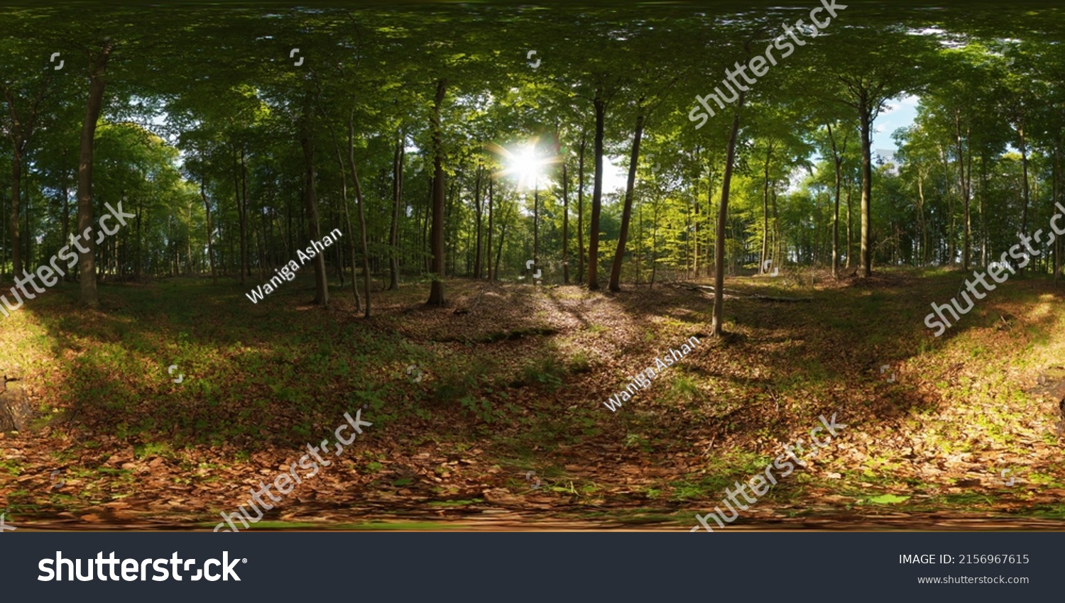 full seamless spherical HDRI panorama 360 degrees angle view. HDRI, environment map, Round panorama, equidistant projection, 3d rendering. ready for VR AR virtual reality content. HDR environment map. #2156967615