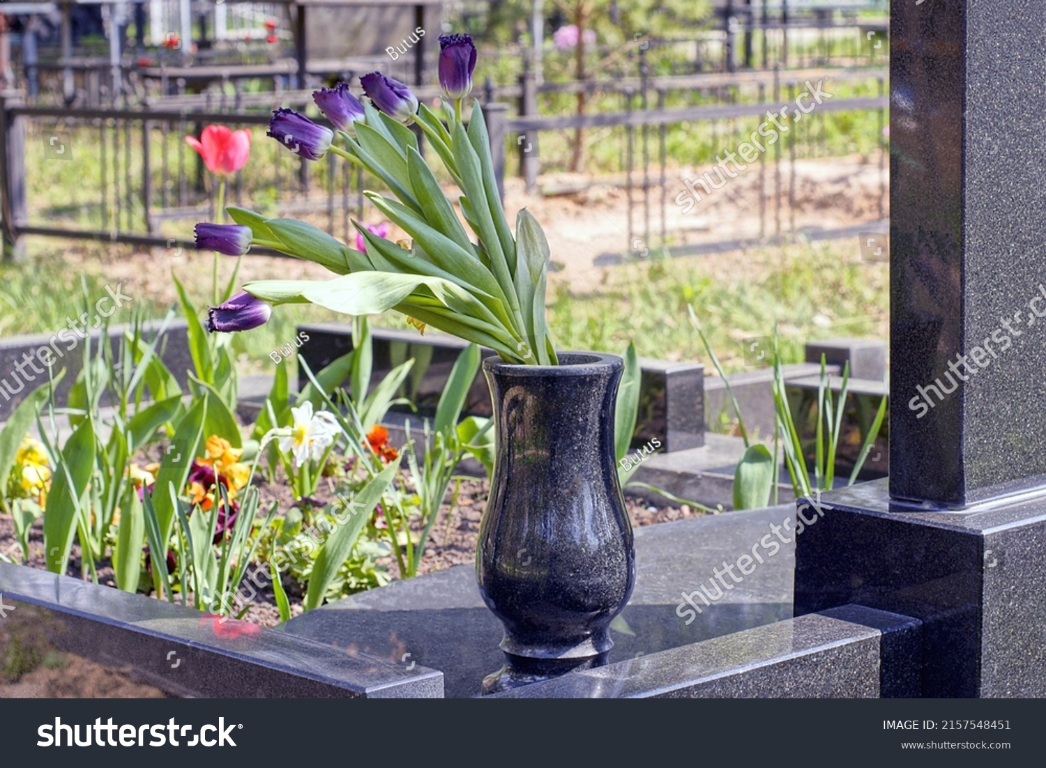 black marble vase with blue tulips flowers at a gray granite monument on a grave in a cemetery #2157548451
