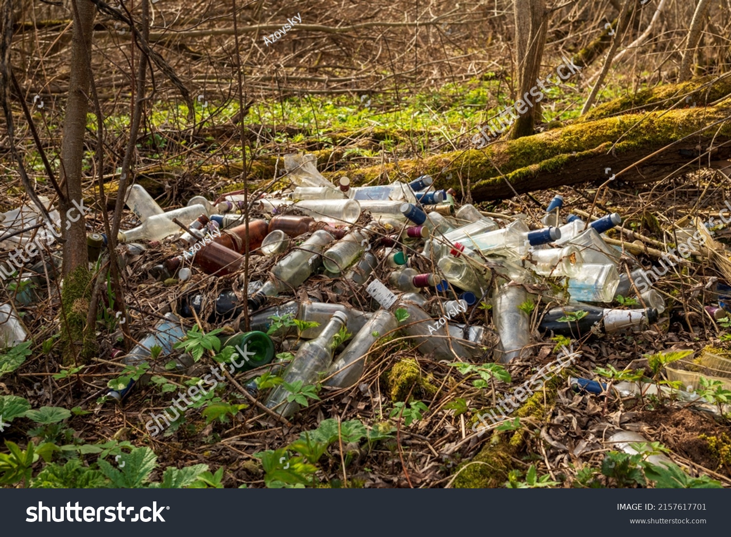 Landfill of glass bottles and garbage on the ground in the forest. The concept of environmental pollution. #2157617701