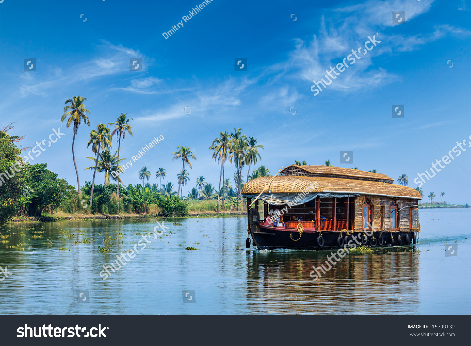 Travel tourism Kerala background - houseboat on Kerala backwaters. Kerala, India #215799139