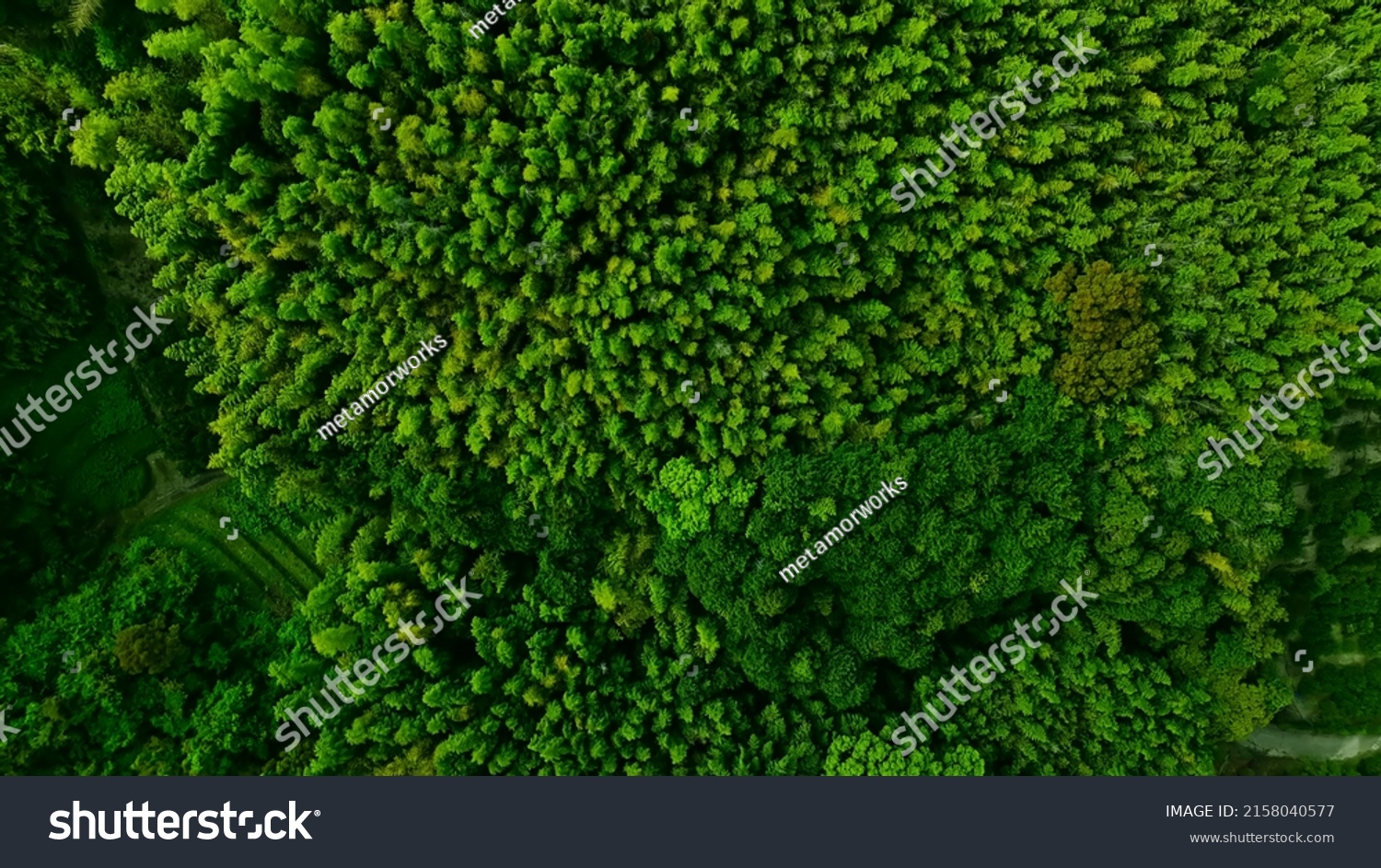 Green natural forest aerial view. Environment concept. #2158040577