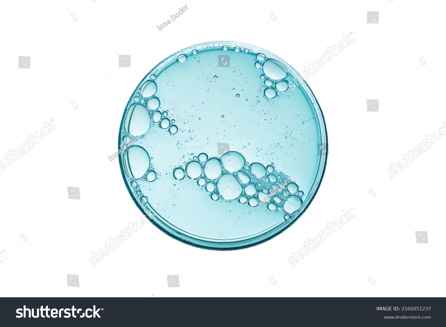 Abstract petri dish with cosmetic or medical liquid isolated on white background top view. Science cosmetic laboratory concept. #2160051237