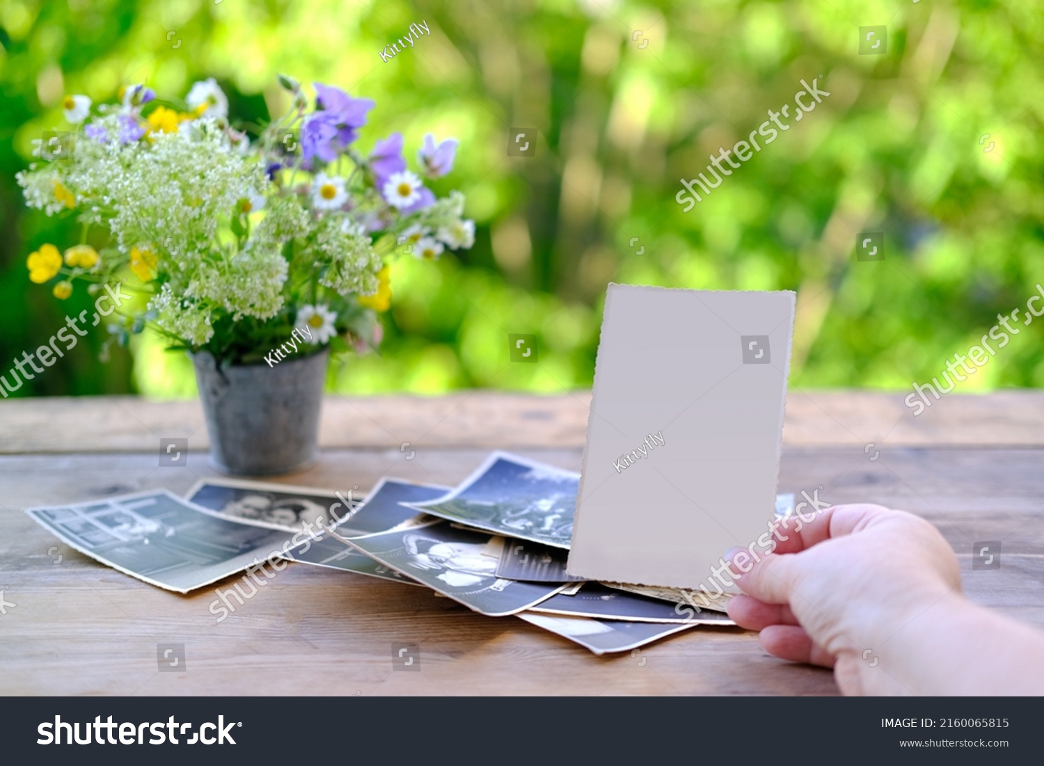 female hands fingering set vintage photos with empty blank, photographs on table, bouquet of wild flowers, concept of genealogy, memory of ancestors, family tree, nostalgia, remembering #2160065815