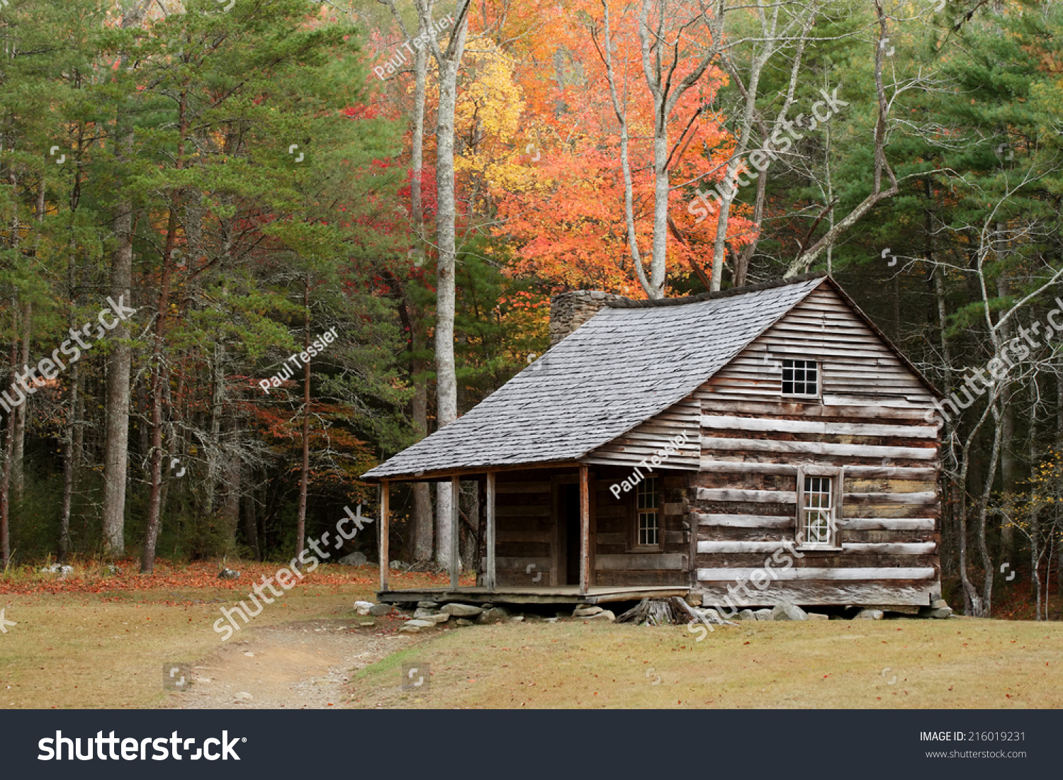Rustic Cabin #216019231