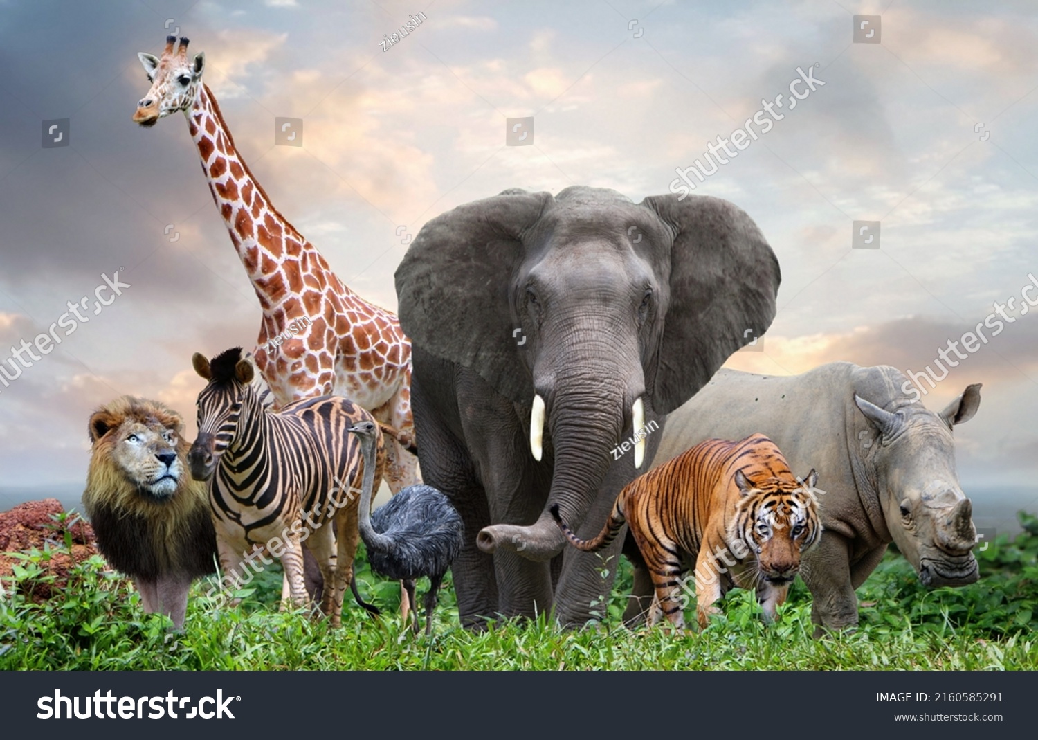 group of wildlife animals in the jungle together  #2160585291