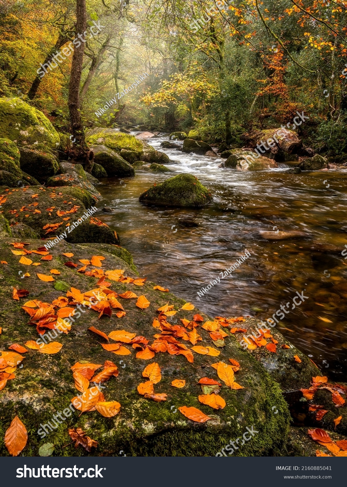 Fallen autumn leaves by a forest river creeks. Autumn river creeks #2160885041
