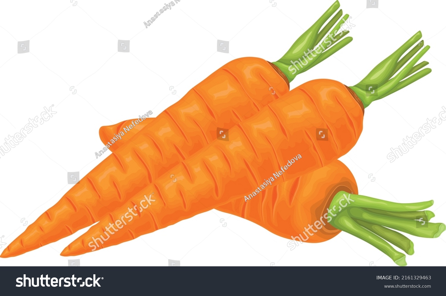 Carrot. Image of a ripe carrot. Vitamin vegetable. Organic food. Orange carrots. Vector illustration isolated on a white background #2161329463