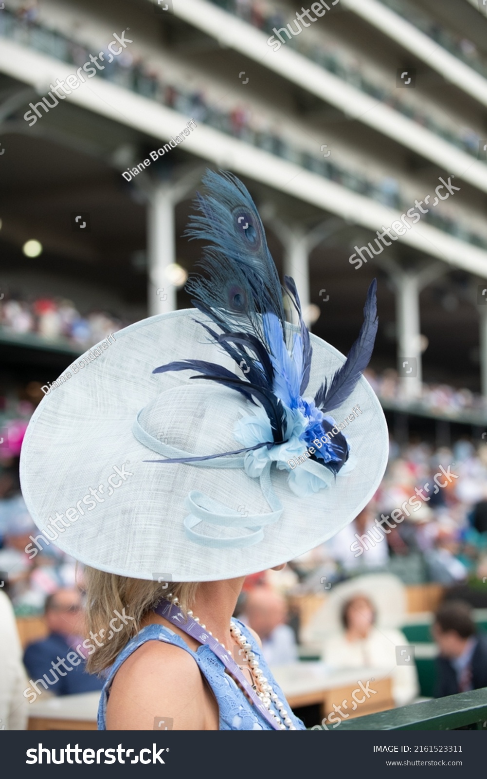 Elegant hats at a horse race  #2161523311