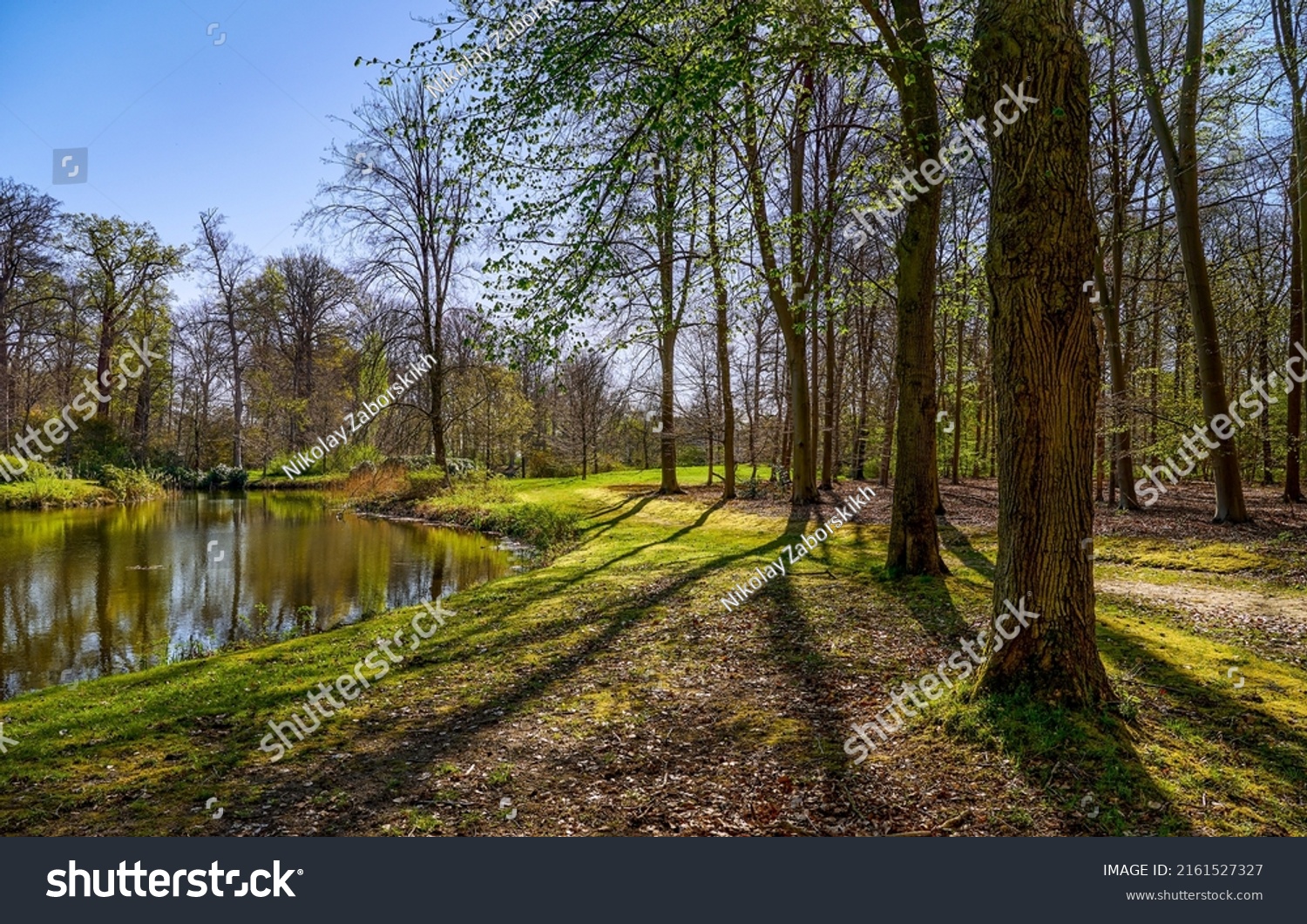 Pond in wooded park in spring. Wooded park scene #2161527327
