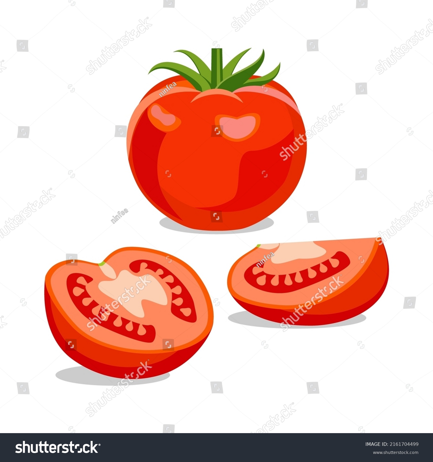 Ripe red tomato vector illustration. Whole tomato with leaves, half tomato, tomato slice isolated on white background #2161704499