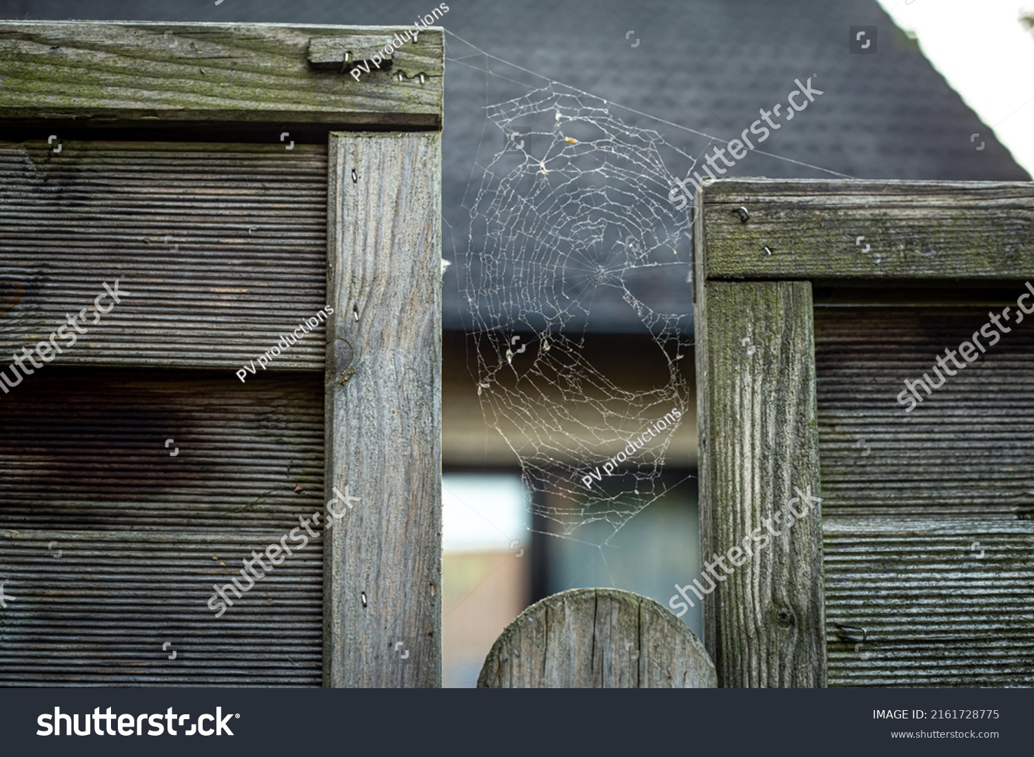 Large cobweb on a wooden fence close-up. #2161728775