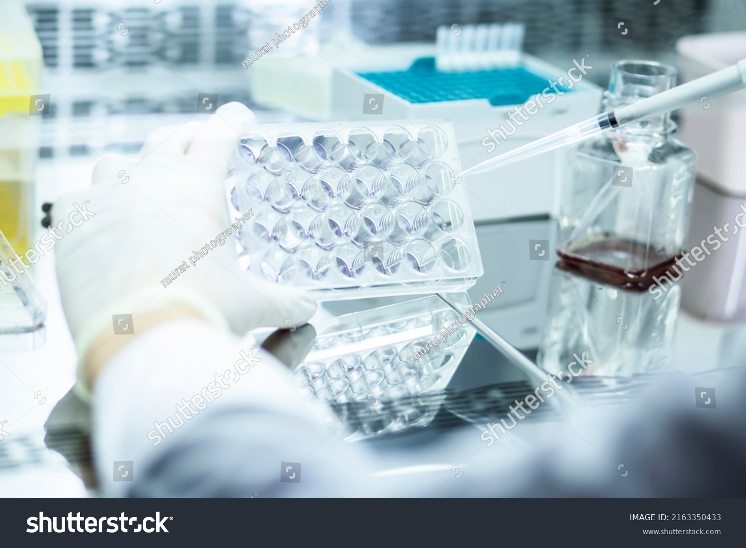 biology medicine and medical laboratory photo and cell culturing multi well plate and pipette safety cabinet #2163350433