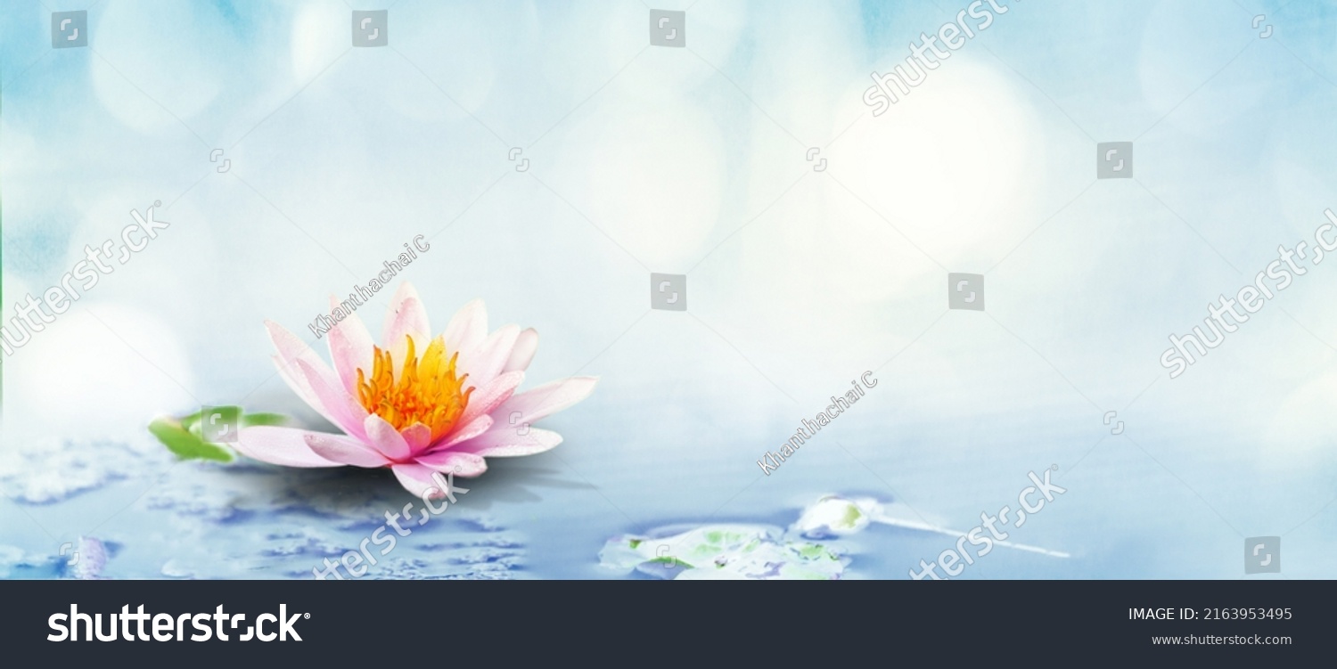 Lotus on water and soft blur bokeh reflection on panorama pastel dream color background, White lily water flower on water, White lotus flower refers to purity of mind and spirit in Buddhism #2163953495