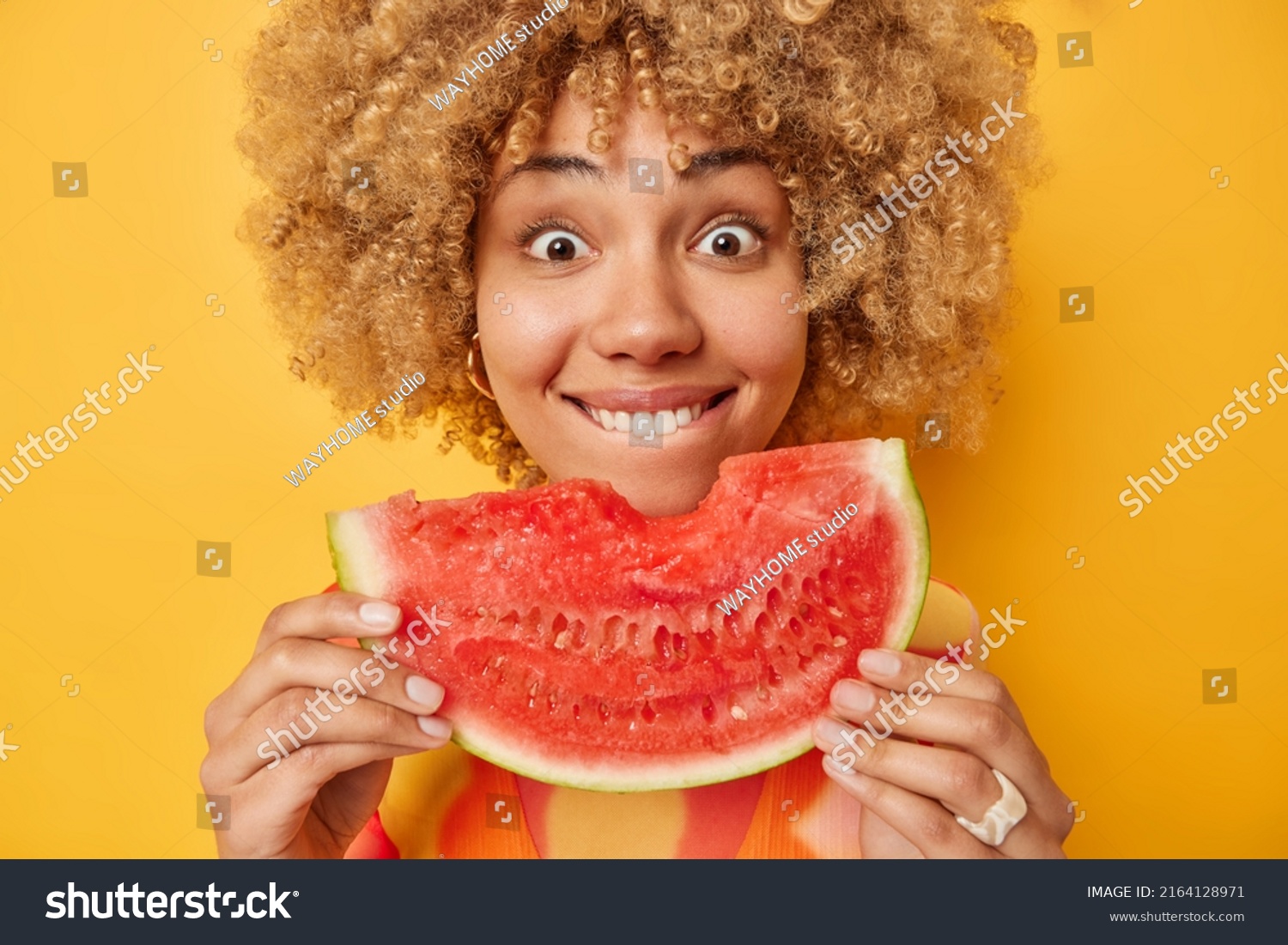 Close up shot of curly haired positive woman holds big slice of juicy watermelon enjoys eating her favorite summer fruit bites lips looks wondered isolated over yellow background. Mmm delicious #2164128971