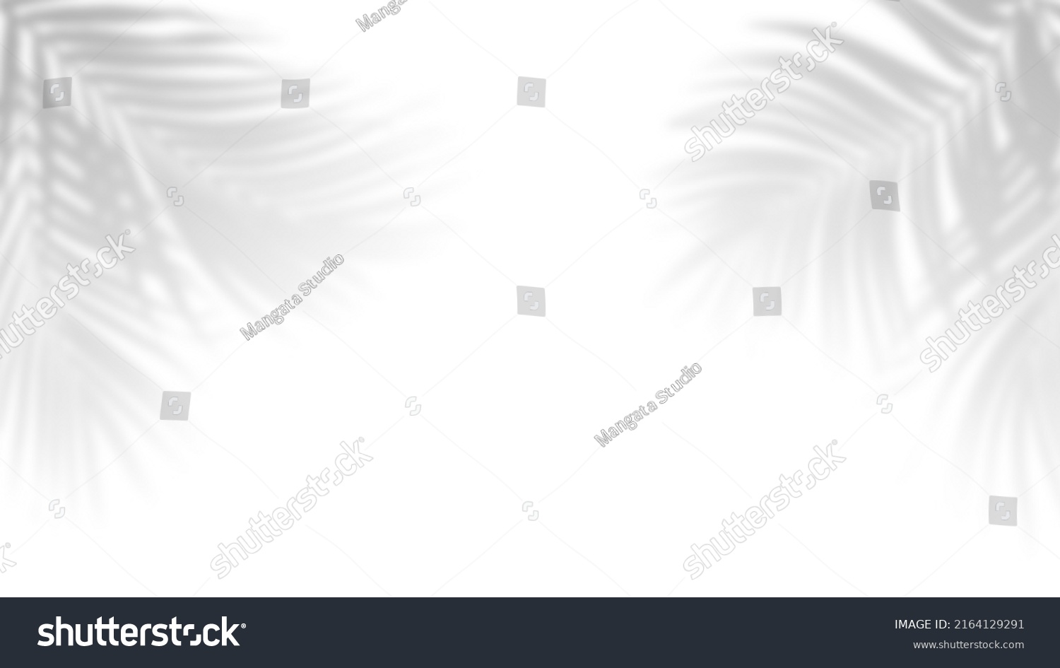 Palm tropical leaves shadow overlay on white background #2164129291