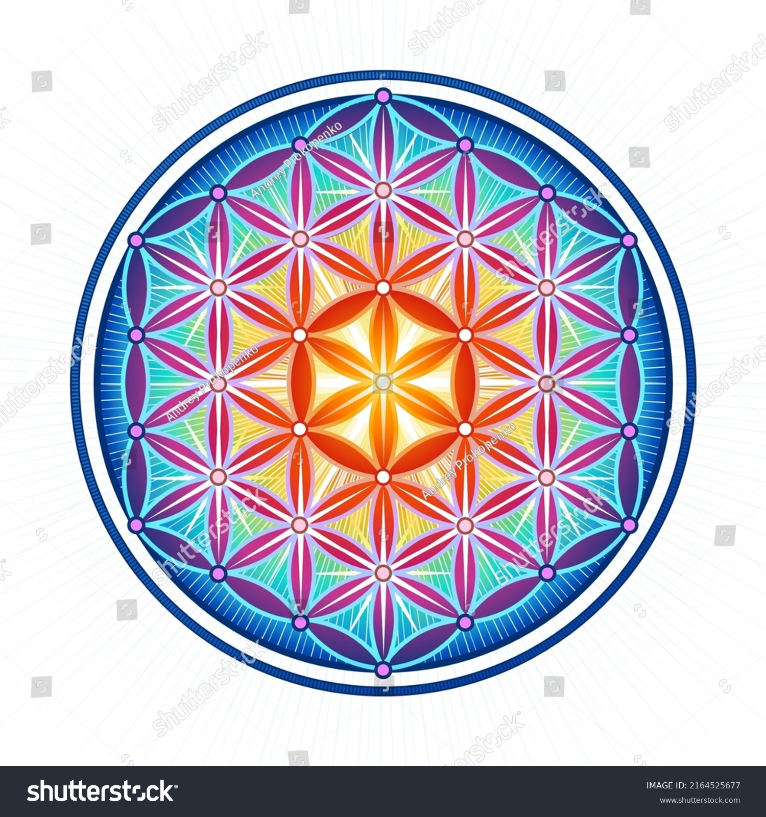 Bright Symbol Flower of Life. The flower of life - Royalty Free Stock ...